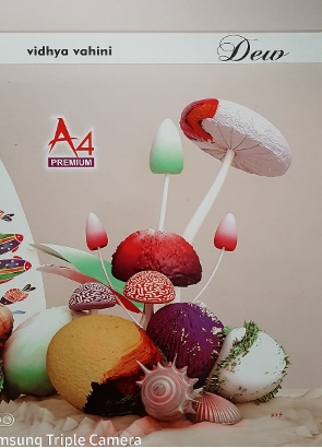 A 4 Registers (Size 21 x 29)