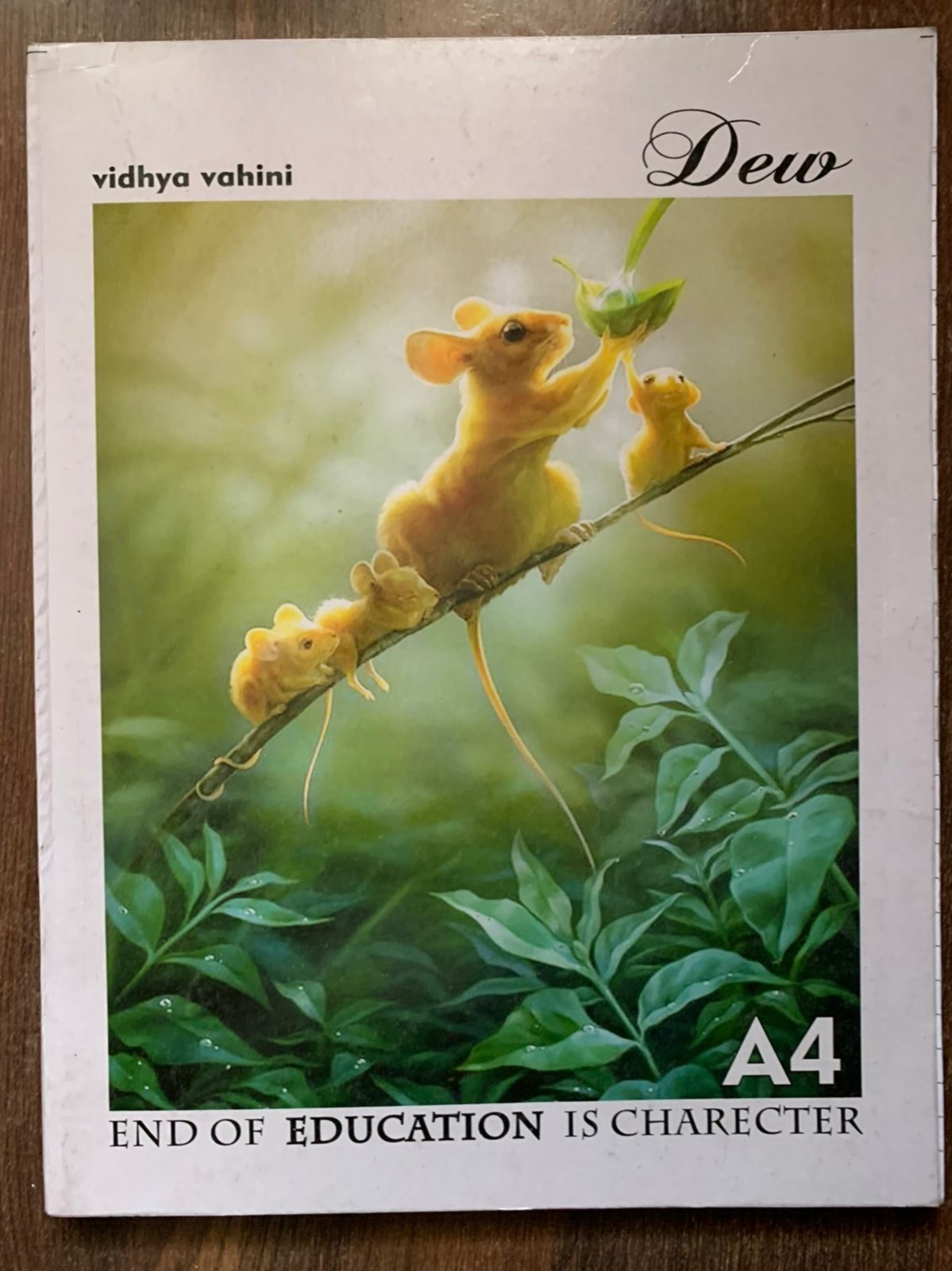 A 4 Small (Size 21 x 27)